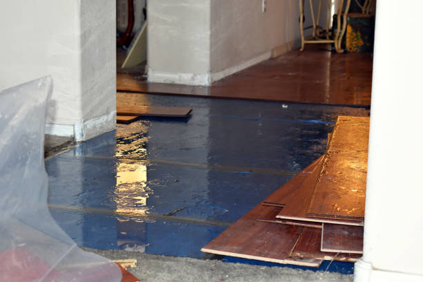 Professional Basement Flood Cleanup technician working in Baldwin, GA